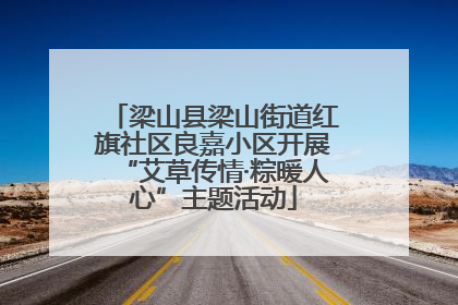 梁山县梁山街道红旗社区良嘉小区开展“艾草传情·粽暖人心”主题活动