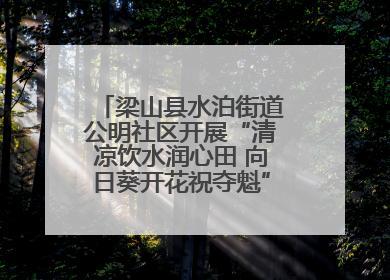 梁山县水泊街道公明社区开展“清凉饮水润心田 向日葵开花祝夺魁”助考活动