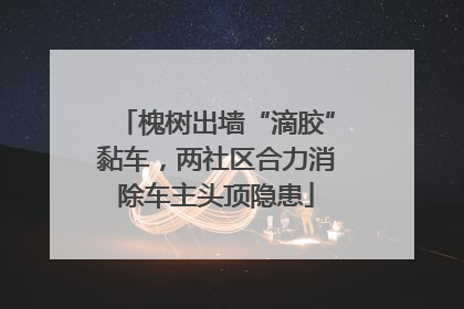 槐树出墙“滴胶”黏车，两社区合力消除车主头顶隐患
