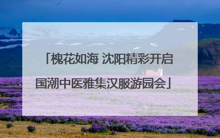 槐花如海 沈阳精彩开启国潮中医雅集汉服游园会