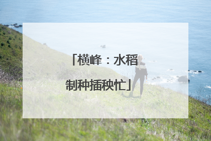 横峰：水稻制种插秧忙