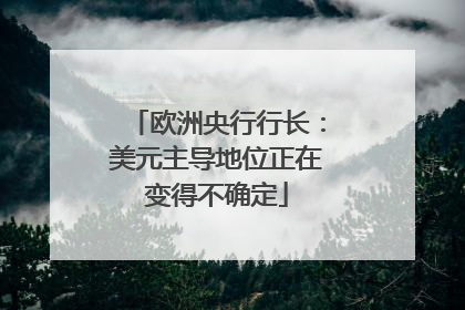 欧洲央行行长：美元主导地位正在变得不确定