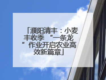 濮阳清丰：小麦丰收季 “一条龙”作业开启农业高效新篇章