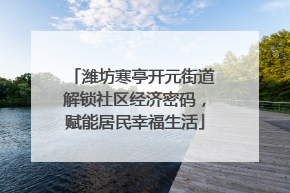 潍坊寒亭开元街道解锁社区经济密码，赋能居民幸福生活