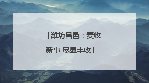 潍坊昌邑：麦收新事 尽显丰收