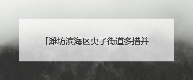 潍坊滨海区央子街道多措并举全力护航粮食丰产丰收