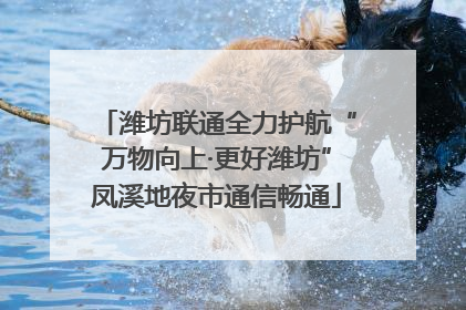潍坊联通全力护航“万物向上·更好潍坊”凤溪地夜市通信畅通