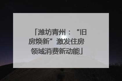 潍坊青州：“旧房焕新”激发住房领域消费新动能