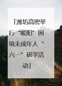 潍坊高密举行“暖阳”困境未成年人“六一”研学活动