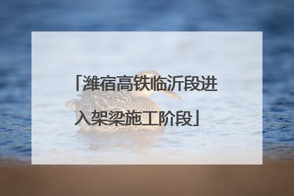 潍宿高铁临沂段进入架梁施工阶段