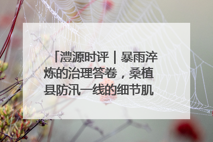 澧源时评｜暴雨淬炼的治理答卷，桑植县防汛一线的细节肌理与体系力量