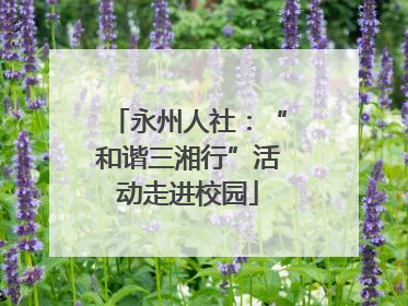 永州人社：“和谐三湘行”活动走进校园