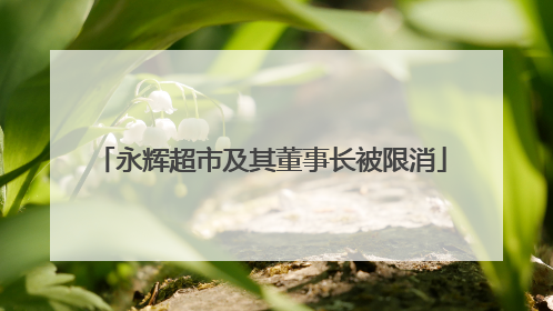 永辉超市及其董事长被限消