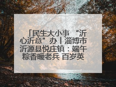 民生大小事 “沂心沂意”办丨淄博市沂源县悦庄镇：端午粽香暖老兵 百岁英雄述峥嵘