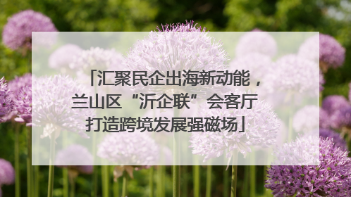 汇聚民企出海新动能，兰山区“沂企联”会客厅打造跨境发展强磁场