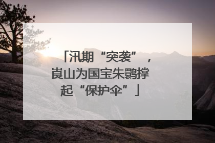 汛期“突袭”，崀山为国宝朱鹮撑起“保护伞”