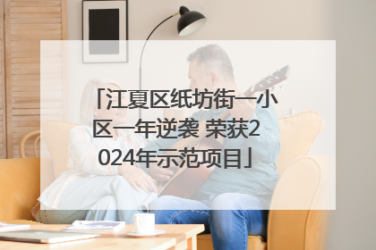 江夏区纸坊街一小区一年逆袭 荣获2024年示范项目