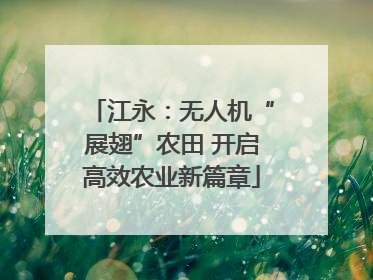 江永：无人机“展翅”农田 开启高效农业新篇章
