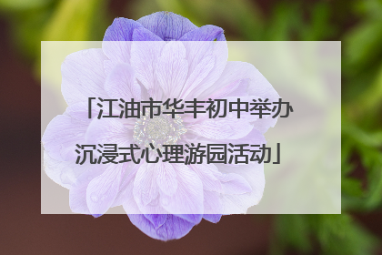 江油市华丰初中举办沉浸式心理游园活动