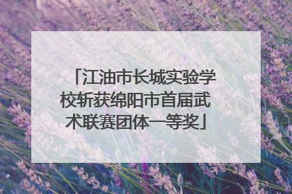 江油市长城实验学校斩获绵阳市首届武术联赛团体一等奖