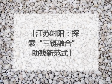 江苏射阳：探索“三链融合”助残新范式