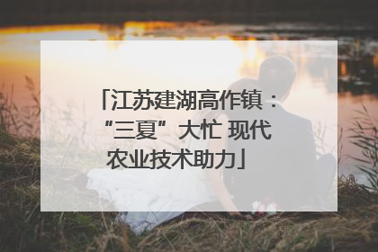 江苏建湖高作镇：“三夏”大忙 现代农业技术助力