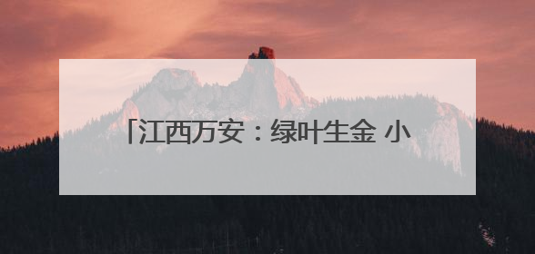 江西万安：绿叶生金 小叶子撬动乡村共富大产业