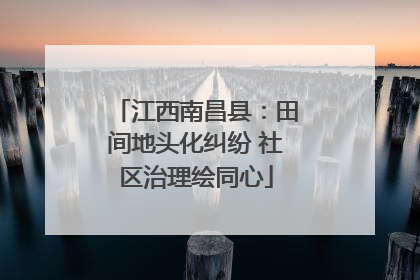 江西南昌县：田间地头化纠纷 社区治理绘同心