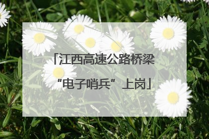 江西高速公路桥梁“电子哨兵”上岗