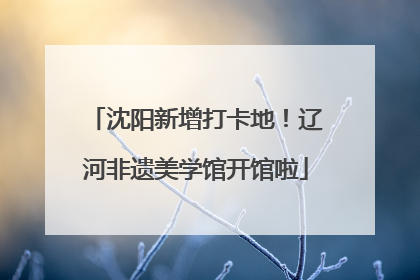 沈阳新增打卡地！辽河非遗美学馆开馆啦