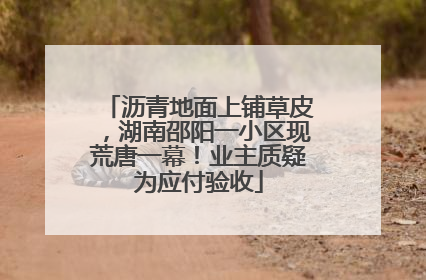沥青地面上铺草皮，湖南邵阳一小区现荒唐一幕！业主质疑为应付验收