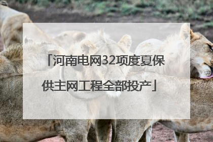 河南电网32项度夏保供主网工程全部投产