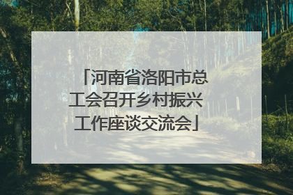 河南省洛阳市总工会召开乡村振兴工作座谈交流会