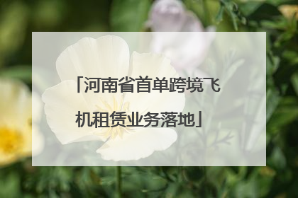 河南省首单跨境飞机租赁业务落地