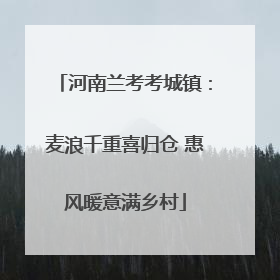 河南兰考考城镇：麦浪千重喜归仓 惠风暖意满乡村