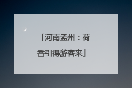 河南孟州：荷香引得游客来