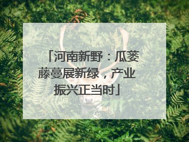 河南新野：瓜蒌藤蔓展新绿，产业振兴正当时