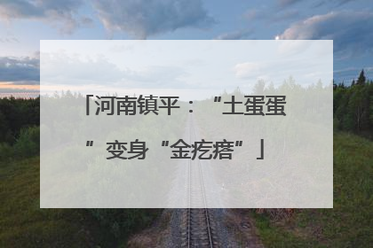 河南镇平：“土蛋蛋”变身“金疙瘩”