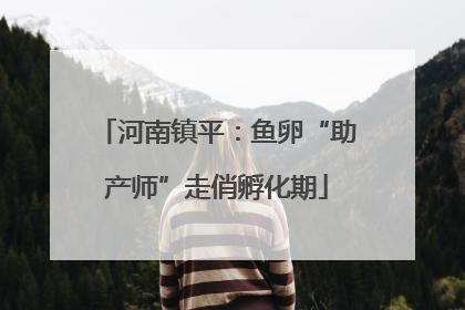 河南镇平：鱼卵“助产师”走俏孵化期