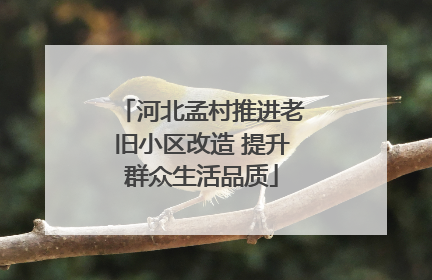 河北孟村推进老旧小区改造 提升群众生活品质