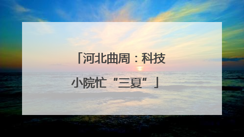 河北曲周：科技小院忙“三夏”