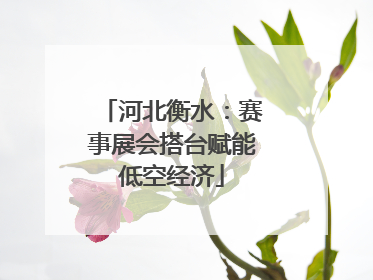 河北衡水：赛事展会搭台赋能低空经济