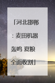 河北邯郸：麦田机器轰鸣 夏粮全面收割