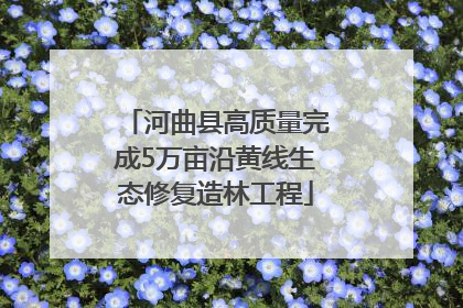 河曲县高质量完成5万亩沿黄线生态修复造林工程