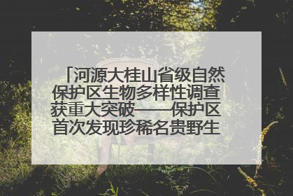 河源大桂山省级自然保护区生物多样性调查获重大突破——保护区首次发现珍稀名贵野生干巴菌与钝尾两头蛇