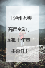 泸州老窖高层变动，履职十年董事离任