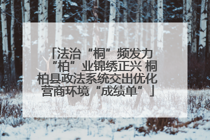 法治“桐”频发力 “柏”业锦绣正兴 桐柏县政法系统交出优化营商环境“成绩单”