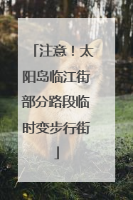 注意！太阳岛临江街部分路段临时变步行街