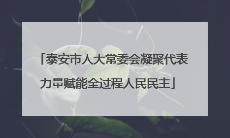 泰安市人大常委会凝聚代表力量赋能全过程人民民主