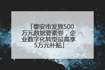 泰安市发放500万元数据要素券，企业数字化转型最高享5万元补贴